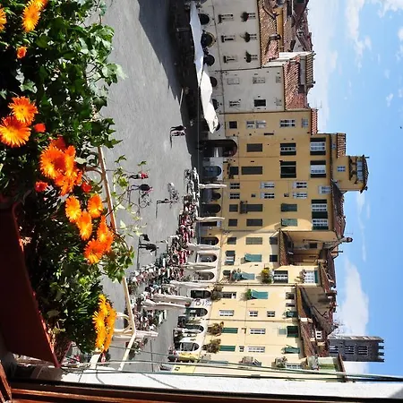 At 3*